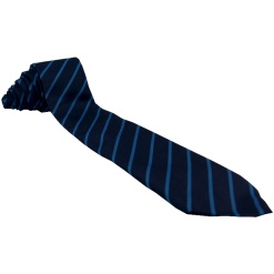 Radcliffe School Tie Blue Stripe, The Radcliffe School