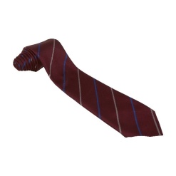 Kents Hill Park Year Tie Blue, Kents Hill Park Secondary