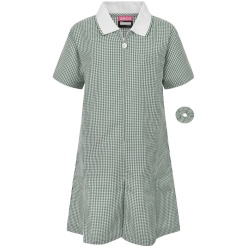 Girls Gingham Dress Green, Olney Infant Academy, Dresses, Brooksward, Greenleys First, Greenleys Junior, Loughton School, Tickford Park Primary, Wavendon Gate School, Ashbrook