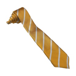 Leon Amber Tie, Sir Herbert Leon Academy