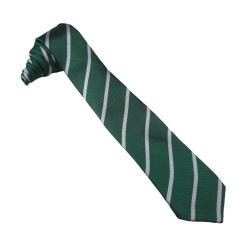 Leon Emerald Tie, Sir Herbert Leon Academy