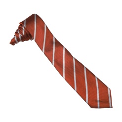 Leon Orange Sunstone Tie, Sir Herbert Leon Academy