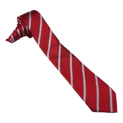 Leon Ruby Tie, Sir Herbert Leon Academy